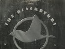 BLACKBYRDS-HAPPY MUSIC **100% Original FANTASY Promo 12