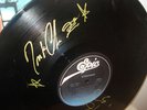 STRANGER Band AUTO Billings * King  Florida Gators Tampa Bay Bucs Tampa Bay Rays