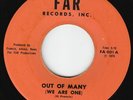 Keith Rowe - Out Of Many We Are One - WICKED