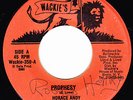 HORACE ANDY - PROPHESY  on the WACKIE'S label   ??