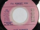 rare Soul 45 JOHN ROBERTS i'll forget you DUKE Hear