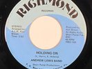 Funk Modern Soul 45 - Andrew Lewis Band 