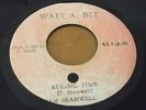 Sam Bramwell Ruling Time Rare Killer Roots 7