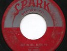 THE ROBINS - RIOT IN CELL BLOCK #9/WRAP IT UP -  SPARK