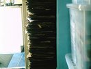 Stack of old 78's
