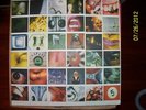 Pearl Jam-No Code Vinyl Record w/Polaroid Inserts (1996)