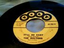 The Sultans It'll Be Easy / You Got Me Goin' 45 on Tilt