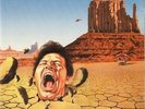 TYGERS OF PAN TANG Burning in the shade  UK vinyl LP EXCELLENT CONDITION RECORD