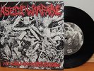 INSECT WARFARE AT WAR WITH GRINDCORE 7