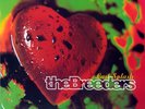 THE BREEDERS - LAST SPLASH LP + 7