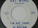 LIL' BOYS BLUE I'm Not There BAT WING Garage Psych 45 *HEAR* MP3