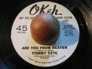Tommy Tate 