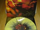 BANE HOLDING THIS MOMENT 2 PACK  /250 COPIES YELLOW/BLACK  + RED/WHITE NM