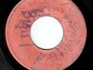 ROCKSTEADY / COXSONE / ROLAND ALPHONSO - REGGAE IN THE GRASS