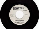 ORIG  Northern Soul 45 Patrinell Staten on SEPIA HEAR