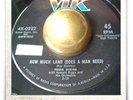 Frank Minion How Much Land RARE R&B POPCORN SOUL MOD HEAR 45