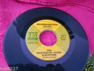 Garage 45 - The Thirteenth Floor Elevators 