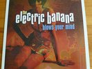 THE ELECTRIC BANANA Blows Your Mind vinyl LP Tenth Planet psych Pretty Things