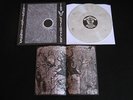 Invidious - In Death 12