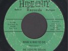 The Pleasure Seekers  What A Way To Die  LEGENDARY MICHIGAN GARAGE PUNK 45 HEAR