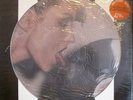 BLONDIE PARALLEL LINES PICTURE DISC DEBBIE HARRY NEW SEALED RARE NEW WAVE USA LP