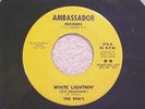 THE RPM's (RARE GARAGE PSYCH)   WHITE LIGHTNIN'   AMBASSADOR PROMO 214 (NM)