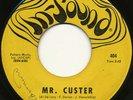 Psych - THE SEARCH on In-Sound | mr. custer | punk garage fuzz | RARE | LISTEN