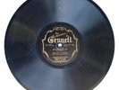 Black Birds of Paradise on Gennett 6211 in V+ condition