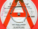 THE JOHN BULL BREED*CAN'T CHANCE A BREAKUP*DEMO*DANCER*HEAR