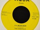 HEAR IT RARE SOUL The Chantells Aqua 45 I’ll Never Know and Don’t Look