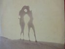 Luli Lucinha LP 70's Private Psych Folk Pokora Brazil HEAR mp3