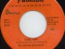 Detroit Executives - Cool Off - Orange Pameline Records