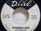 45 Garage-Psych THE DAYBREAKERS Psychedelic Siren 1967 Dial 4066 PROMO