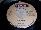 SKULL SNAPS It's A New Day/My Hang Up Is You ORIGINAL GSF 1973 SOUL 45 NR
