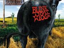 Blink 182 Dude Ranch LP Coke Bottle Clear Vinyl Limited To 300 New