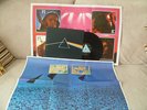 1973 UK Orig PINK FLOYD D.S.O.T.M LP  (Solid Blue Triangle)