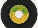 45 RPM WHY LITLE GIRL & YOU GONNA PAY BY THE CONTACTS QUADRAN RECORDS 1971 N/R