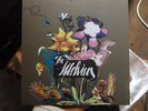 THE MELVINS 'Saved message/Thank You'-AMREP Pressing of 250