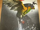 BUDGIE   IN FOR THE KILL ** 1974 MCA LP
