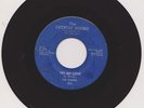 SEQUINS--TRY MY LOVE--DETROIT SOUND -503-- RARE NORTHERN SOUL