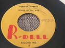 The Dooley Sisters Spider in the web  R-Dell Northern soul/RnB/Popcorn