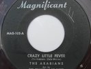 THE ARABIANS 45  