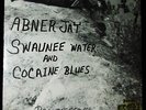 SUPER RARE PRIVATE 70s   ABNER JAY   COCAINE BLUES   REAL PEOPLE GUITAR 