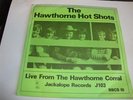 SURF/ ROCK- BEACH BOYS- HAWTHORNE HOT SHOTS- JACKALOPE 45 RPM (2 DISCS)- LISTEN