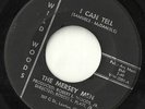 Ohio garage fuzz Mersey Men I can tell Wild Woods 45 hear