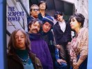 SERPENT POWER ULTRA-RARE ORIGINAL 1967 VANGUARD LP WEST COAST FOLK PSYCH CLASSIC