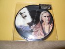 THE JESUS LIZARD & NIRVANA 7