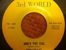 Rare Funk Soul 45 DIPLOMATS SHE'S THE ONE 3rd World HEAR