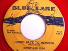 BLUES 45-SUNNYLAND SLIM-on BLUE LAKE-GOING BACK TO MEMPHIS /DEVIL IS A BUSY MAN