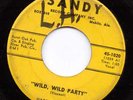 ROCKABILLY --DARRY VINCENT--WILD WILD PARTY--HEAR BOTH--1959 on SANDY